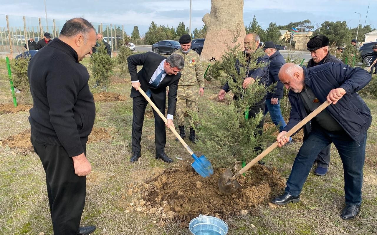 Xəzər rayonunda ağacəkmə aksiyası keçirildi - FOTOLAR